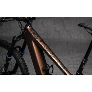 DYEDBRO E-Bike Rahmenschutz Kit Fluor - EB-22205
